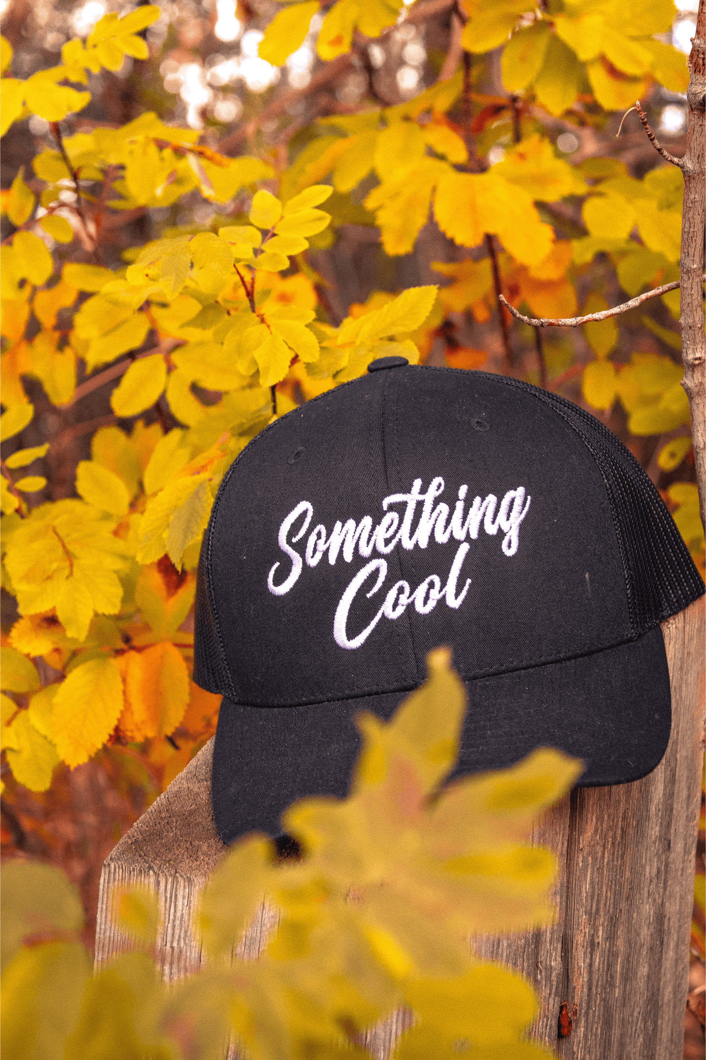 Something Cool "Chase Your Passion" SnapBack Hat