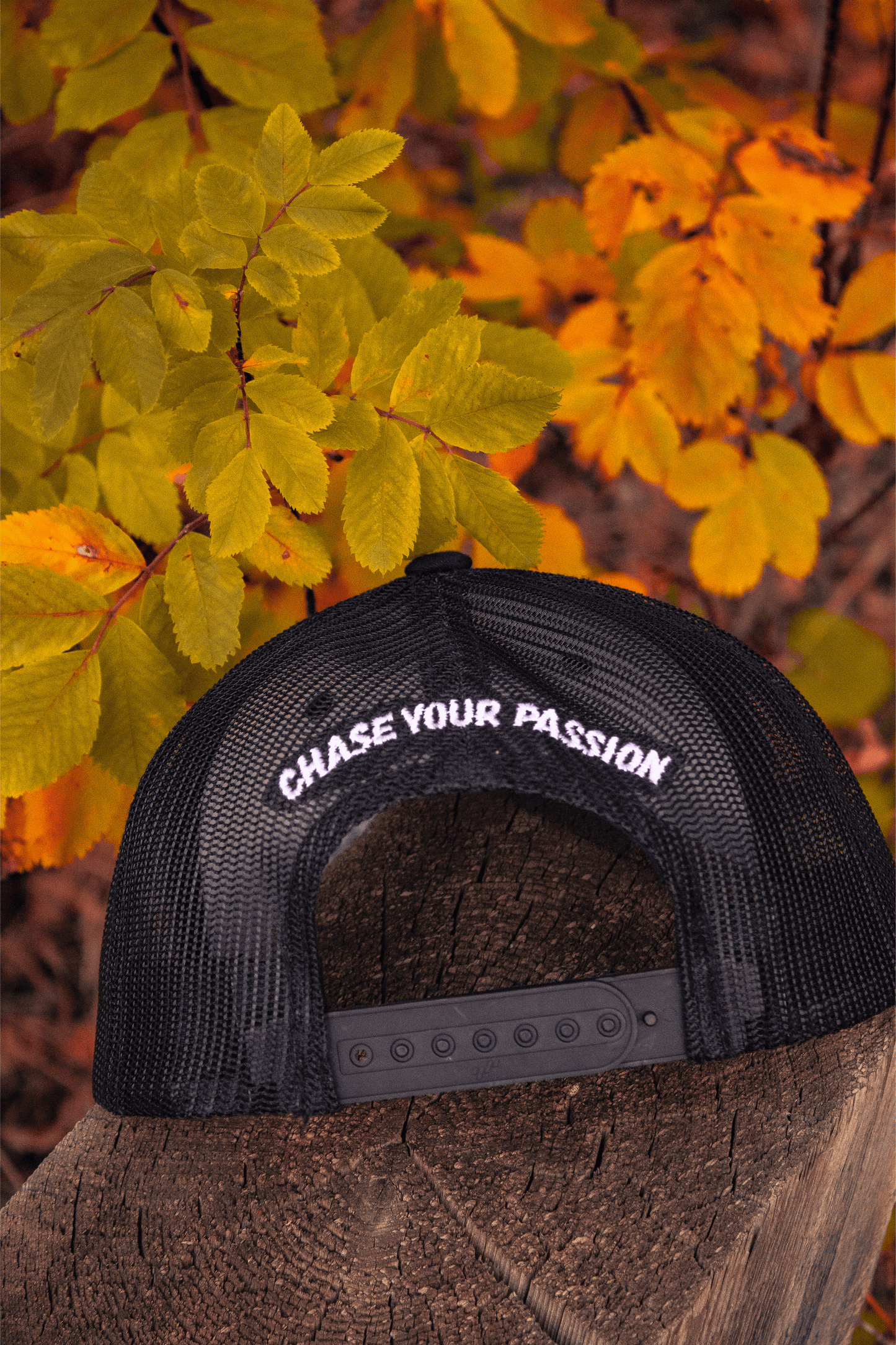 Something Cool "Chase Your Passion" SnapBack Hat